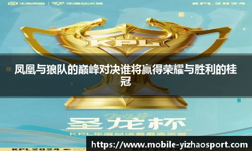 凤凰与狼队的巅峰对决谁将赢得荣耀与胜利的桂冠